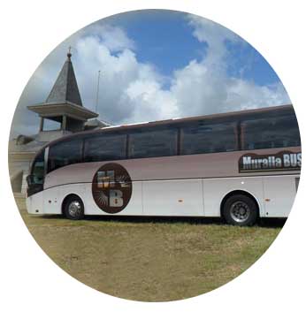 Muralla Bus transporte 